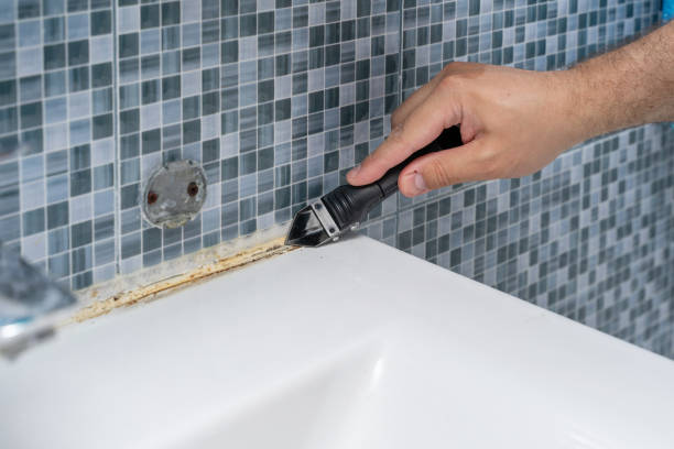 Best Residential Mold Removal  in Crossett, AR