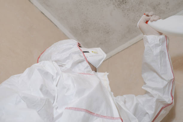 Best Water Damage Restoration  in Crossett, AR