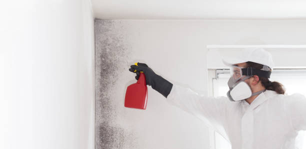 Best Emergency Mold Removal  in Crossett, AR
